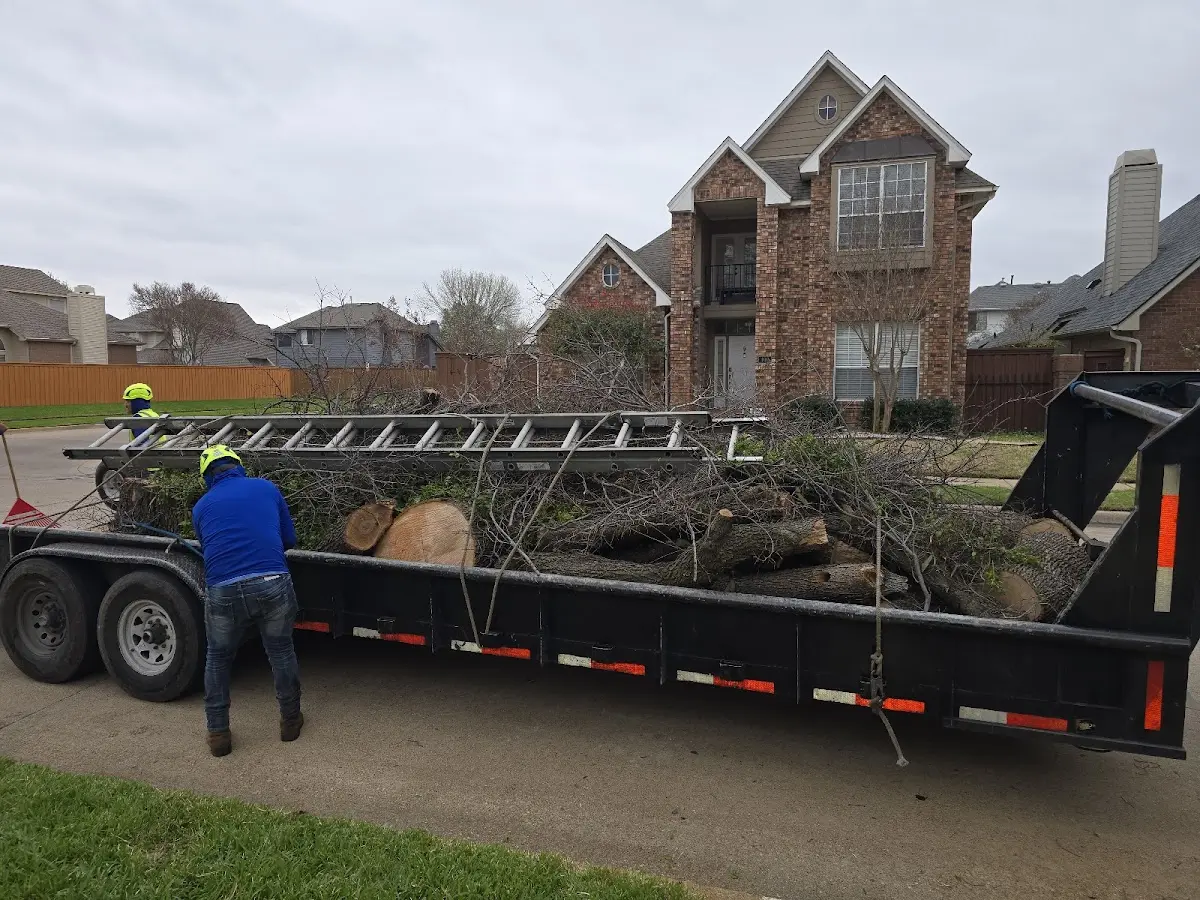 Expert Tree Pest Control with proper safety equipment in Riverton